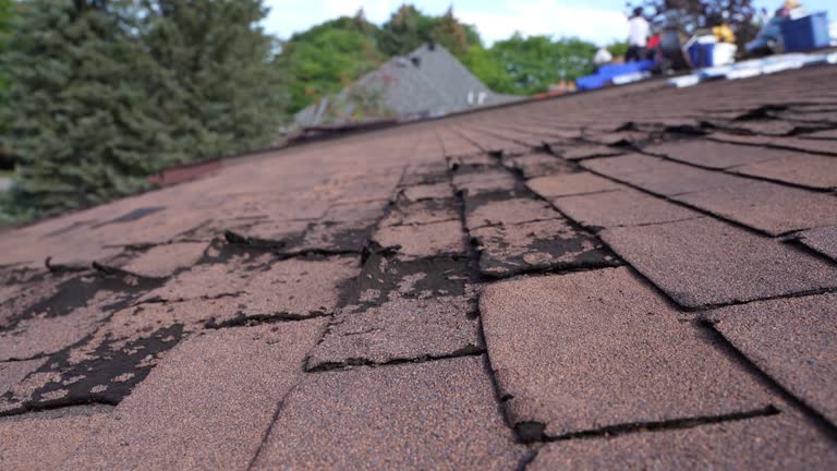 Best Storm Damage Roof Repair  in Erma, NJ